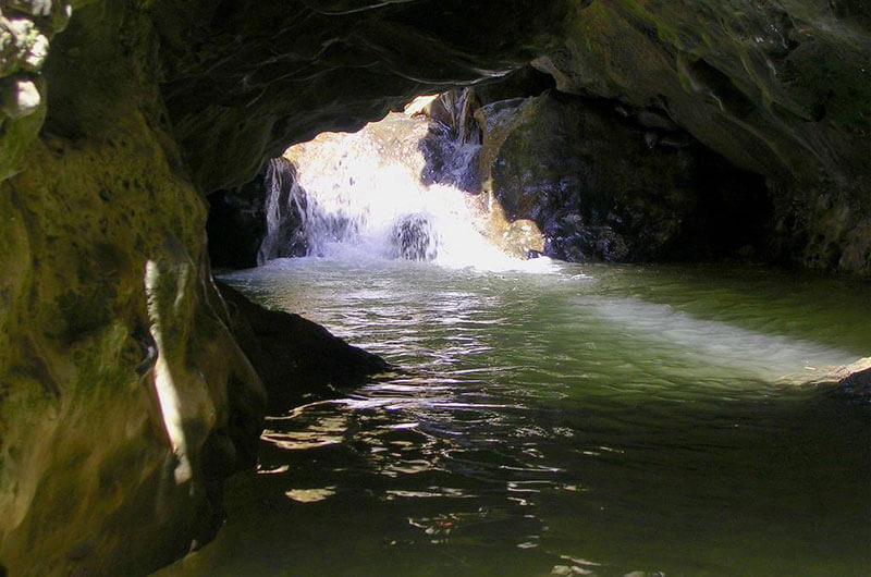 Robber's Cave- Dehradun hotel near Robber's Cave Dehradun
